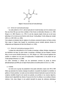 Plantes medicinales de Fianarantsoa I