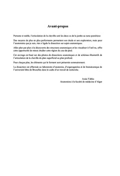 Dissection anatomique de la cheville