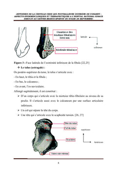 Entorses de la cheville chez les footballeurs