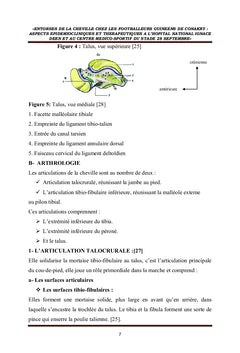 Entorses de la cheville chez les footballeurs