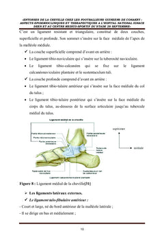 Entorses de la cheville chez les footballeurs