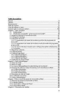 Évaluation qualitative d'impact d'un programme de microcrédit au Bénin