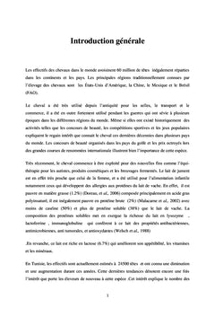 L'élevage des chevaux en Tunisie