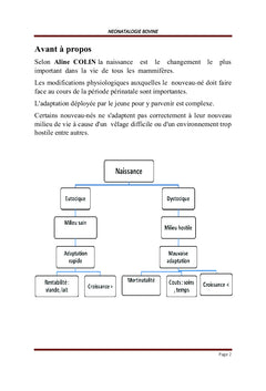Pathologies des Bovidés