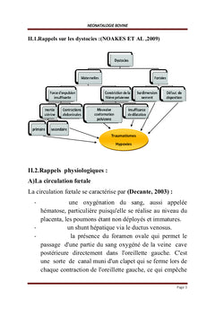 Pathologies des Bovidés