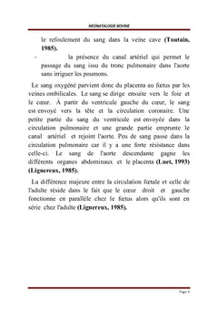 Pathologies des Bovidés