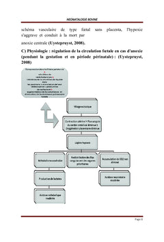 Pathologies des Bovidés
