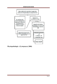 Pathologies des Bovidés