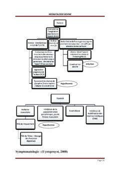 Pathologies des Bovidés