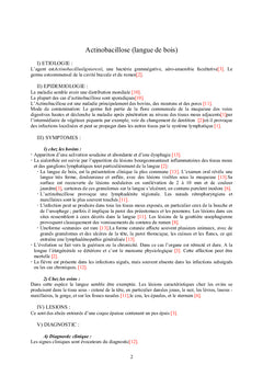 Pathologies des Bovidés