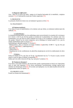 Pathologies des Bovidés