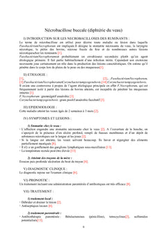 Pathologies des Bovidés