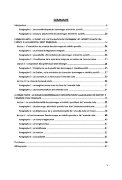 Des Dommages et Intérêts Punitifs à l'Amende Civile