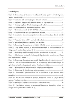La dégradation silencieuse de la forêt marécageuse de Lokoli (Bénin)