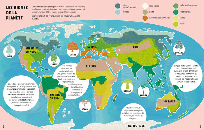 La vie secrète des arbres