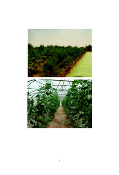 La géo-serriculture dans le territoire oasien Tunisien