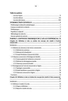 Elaboration du canevas de l'atlas commercial urbain