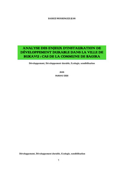 ENJEUX D'INSTAURATION DE DÉVELOPPEMENT DURABLE DANS LA VILLE DE BUKAVU