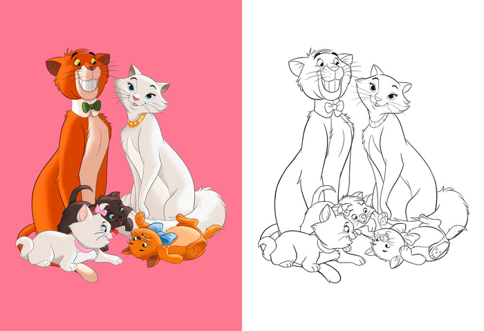 Maxi Colo avec modèles