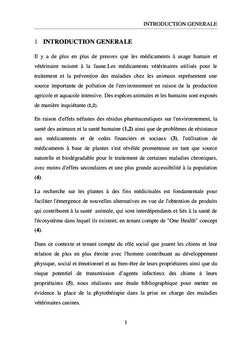 La phytothérapie en médecine vétérinaire