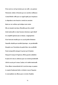 Zoomorphisme - Culture - Spiritualité