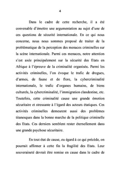 La criminalité organisée, source d'insécurité en Afrique