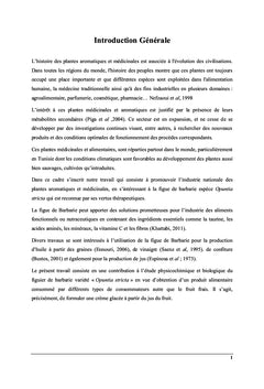 La figue de barbarie «Opuntia stricta»