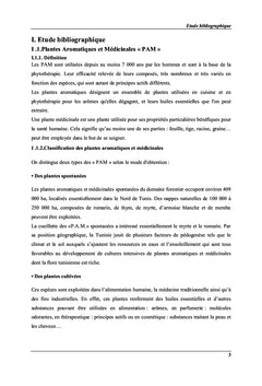 La figue de barbarie «Opuntia stricta»