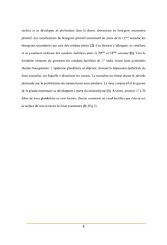 Avez-vous une idée sur les masses mammaires chez l'enfant et l'adulte?