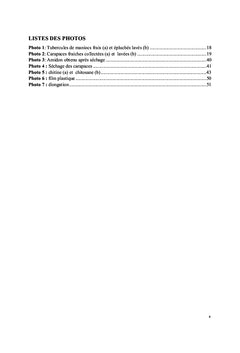 Formulation du bioplastique