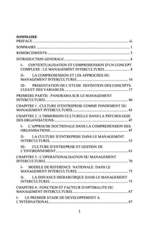 Stratégie d'Optimisation du Management Interculturel