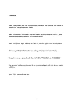 Mise en place d'un SAE au sein de NSIA Assurances Congo