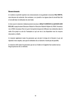 Mise en place d'un SAE au sein de NSIA Assurances Congo