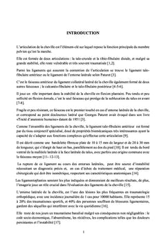 Le ligament de l'entorse latérale de la cheville