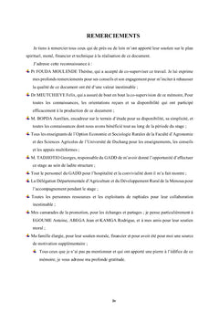 Exploitation des raphiales à l'Ouest-Cameroun