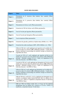 Lutte contre les ravageurs des stocks