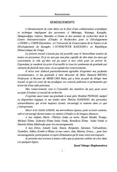Exploitation minière artisanale et enjeux de développement durable
