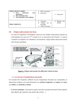 Histologie Générale Humaine