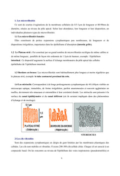 Histologie Générale Humaine