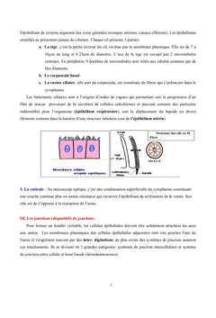 Histologie Générale Humaine