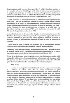 Les levures