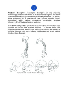 L'Anatomie Comparéeet descriptive