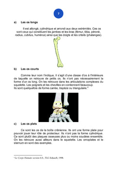 L'Anatomie Comparéeet descriptive