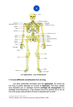 L'Anatomie Comparéeet descriptive