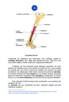 L'Anatomie Comparéeet descriptive