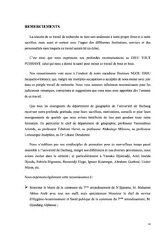 Analyse de la filière des D3E à N'djamena