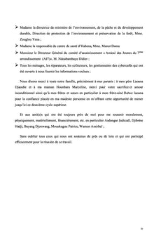 Analyse de la filière des D3E à N'djamena