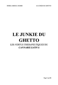 Le Junkie du Ghetto