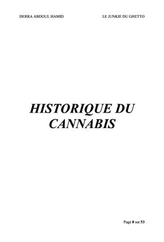 Le Junkie du Ghetto