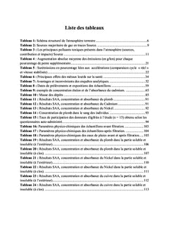 Détermination du niveau de la pollution d'origine routière
